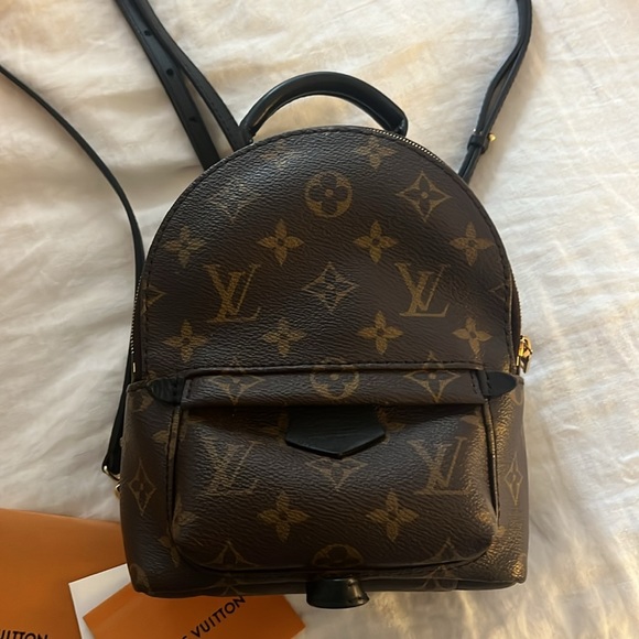 Louis Vuitton Palm Springs Mini Backpack - Picture 3 of 10